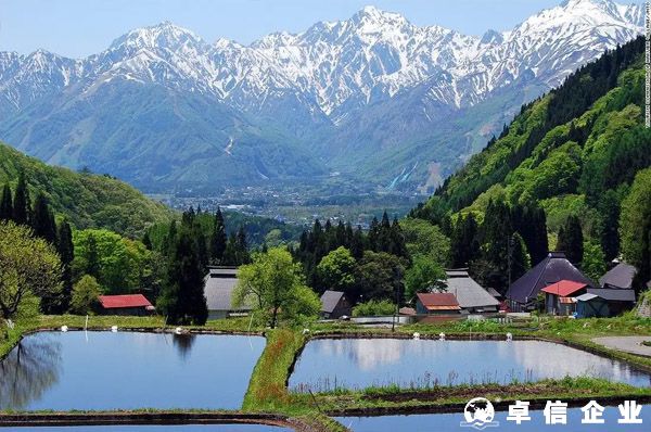 日本消費稅（JCT）確立實行，不合規(guī)賣家將會面臨罰款
