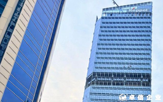 外國公司在菲律賓設立分公司與子...