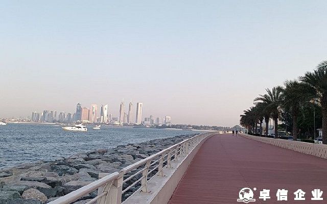 國內企業成立未滿一年可以境外投...
