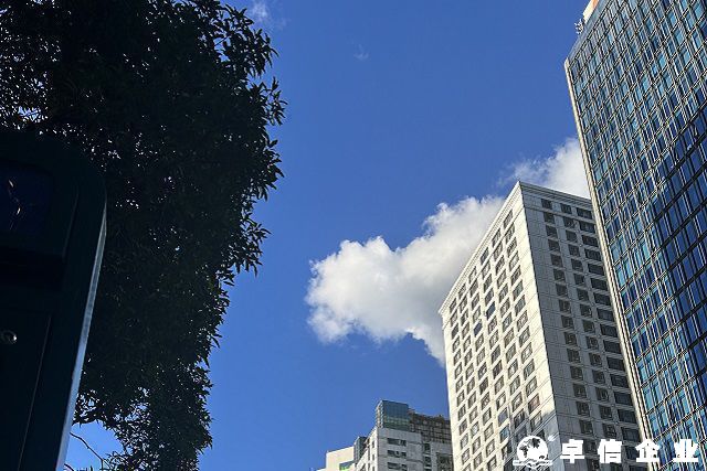澳大利亞公司注冊(cè)后必須立即開展業(yè)務(wù)嗎