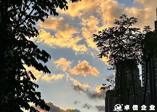迪拜公司長期零申報或停業不注銷風險說明
